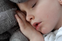 3ec6c87c-ec5f-420c-a8df-3fcff92322f4