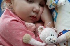 59bd225a-5141-4f23-896d-d50df3e3dcbc