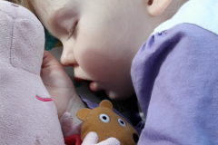 d3e01e83-780d-40d2-ac5c-4cbf86e2c672